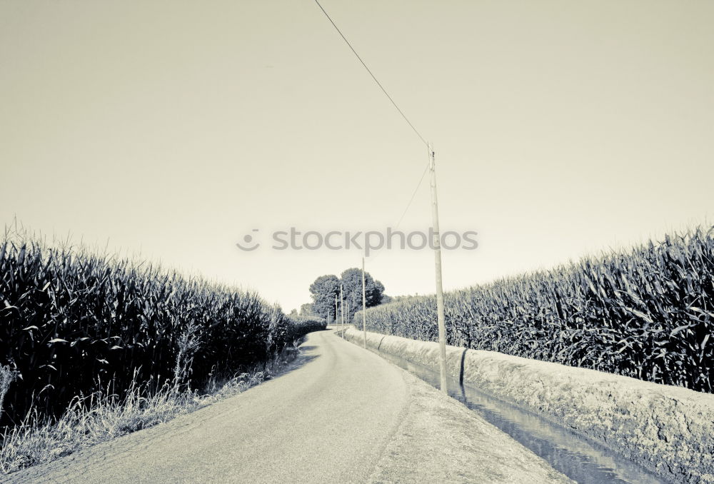 Similar – Image, Stock Photo Winter Impression_III Cold