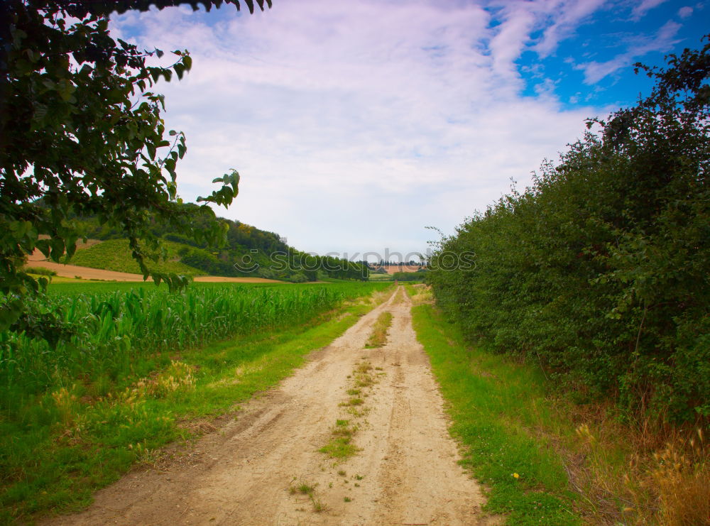 Similar – Image, Stock Photo dirt road Summer