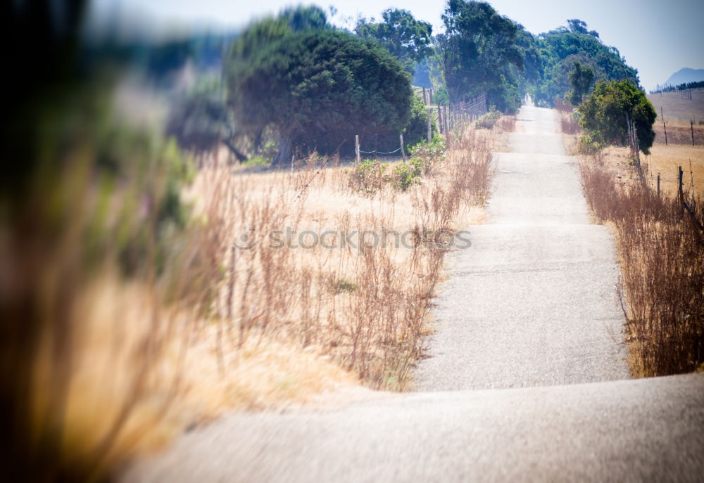 Similar – Image, Stock Photo Continue Trip Hiking Legs