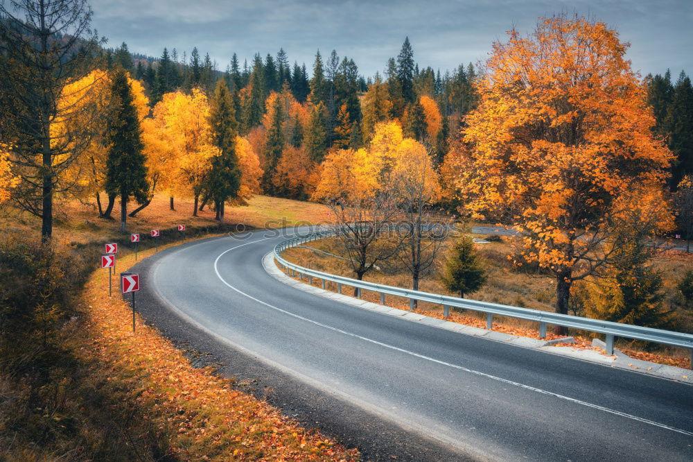 Similar – Image, Stock Photo Indian Summer @ Acadia NP