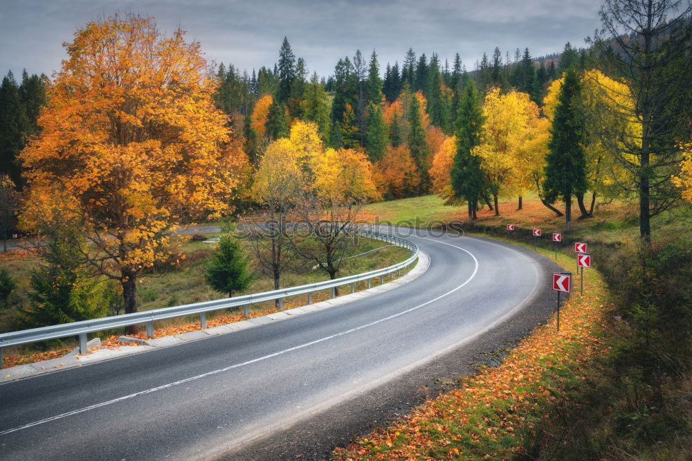 Similar – Image, Stock Photo autumn street Environment