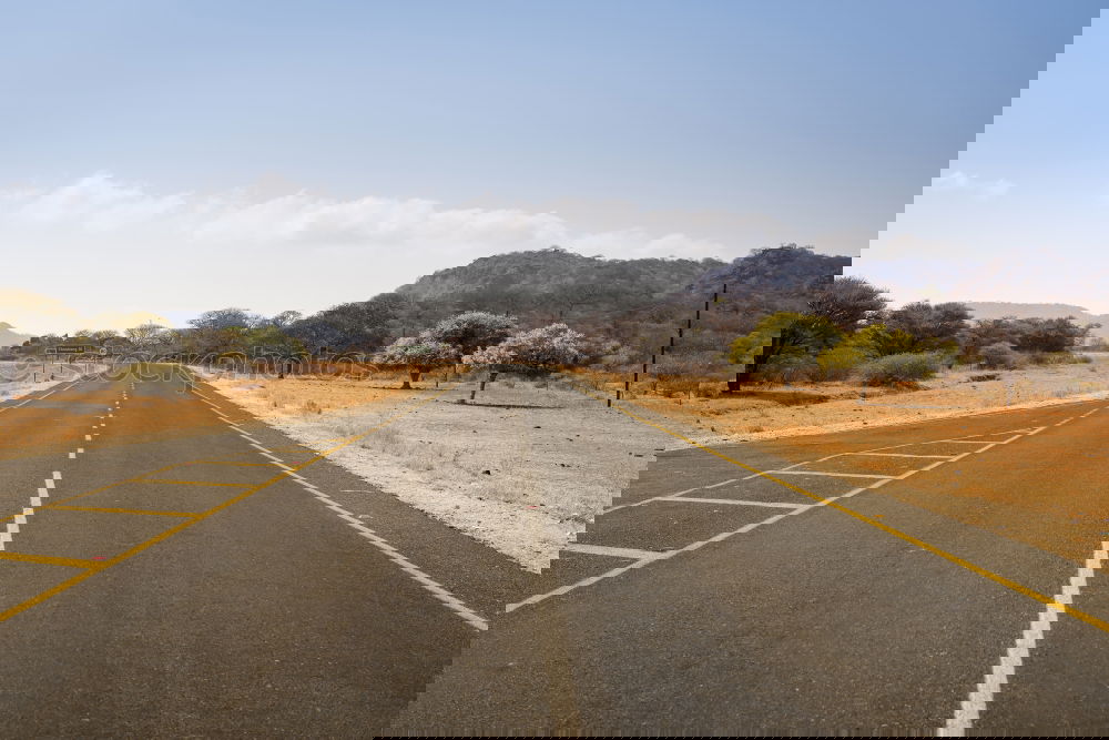 Similar – Foto Bild On the Road. Wildtier