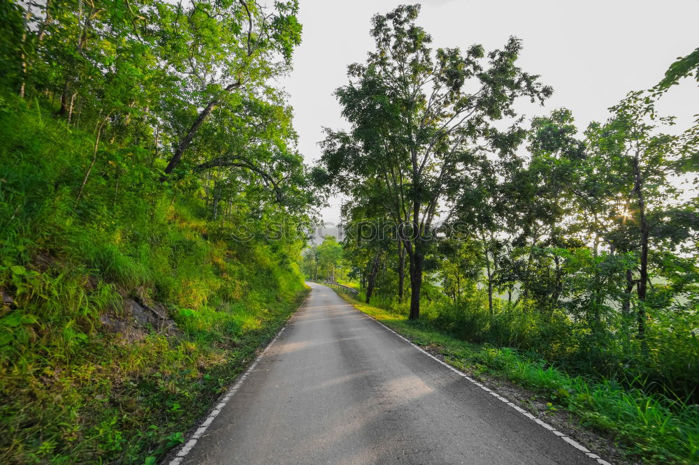 Similar – Truck driving through forest