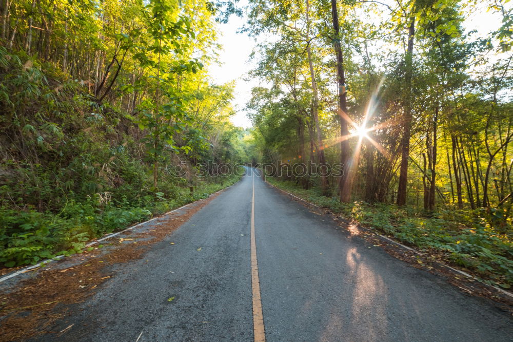 Similar – Car driving through forest