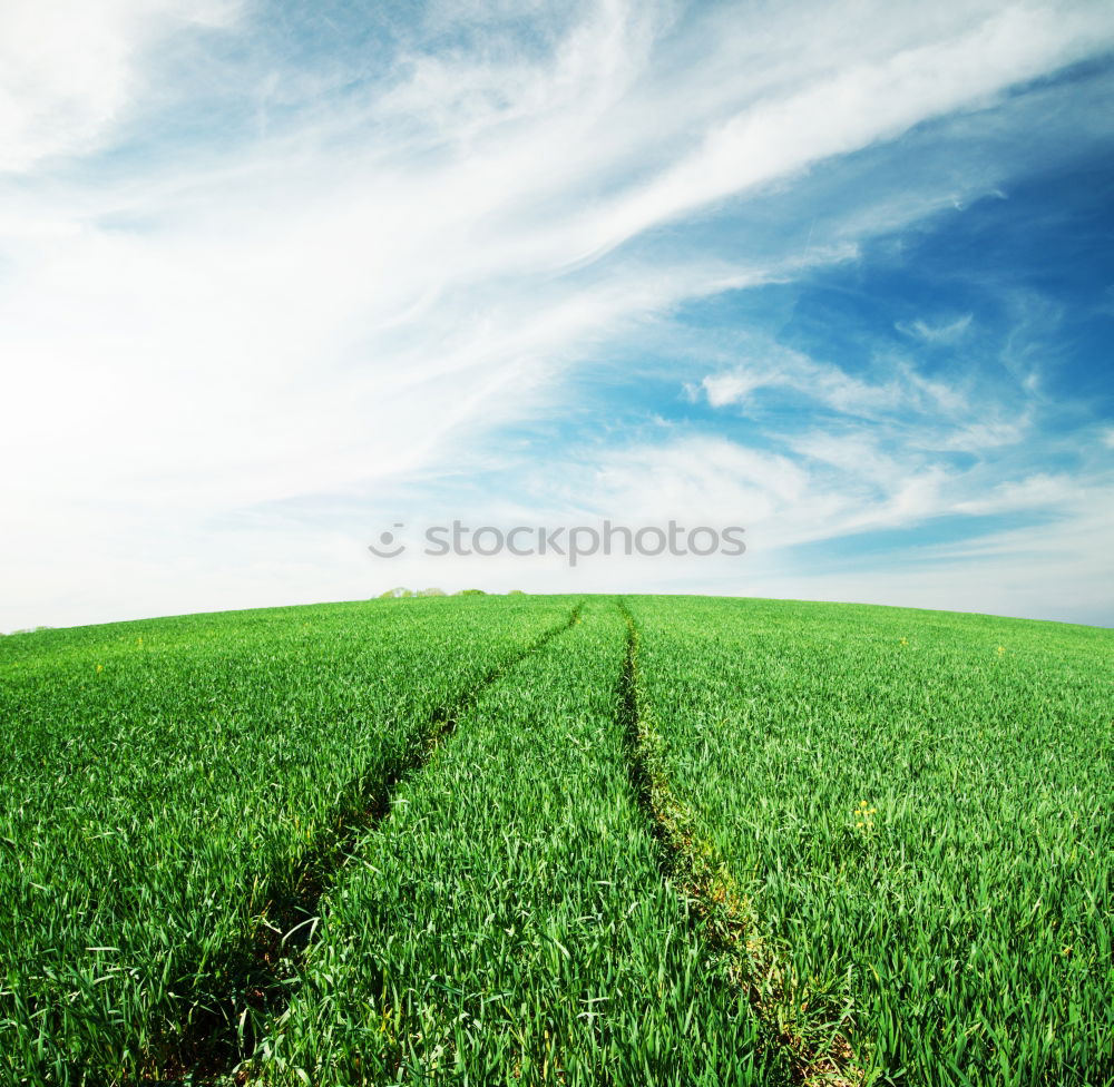 Similar – Image, Stock Photo Way to heaven Spring