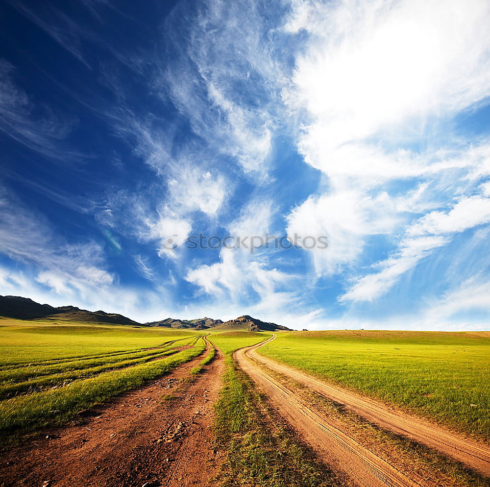 Similar – Sun at the end of a lonely street with a tree