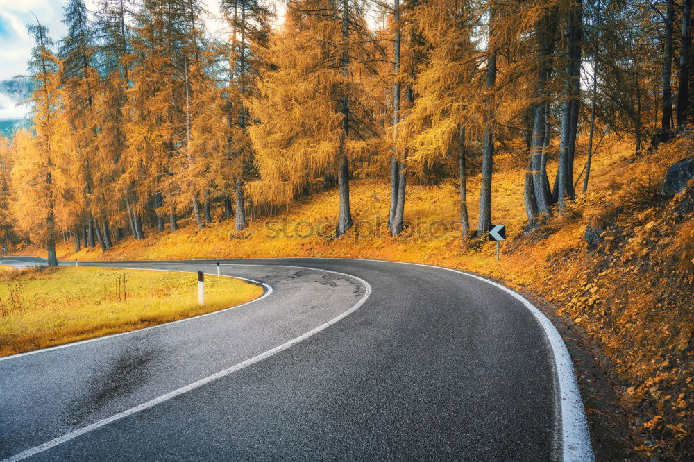 Similar – Image, Stock Photo Aerial view on countryside road. Straight road view from above.