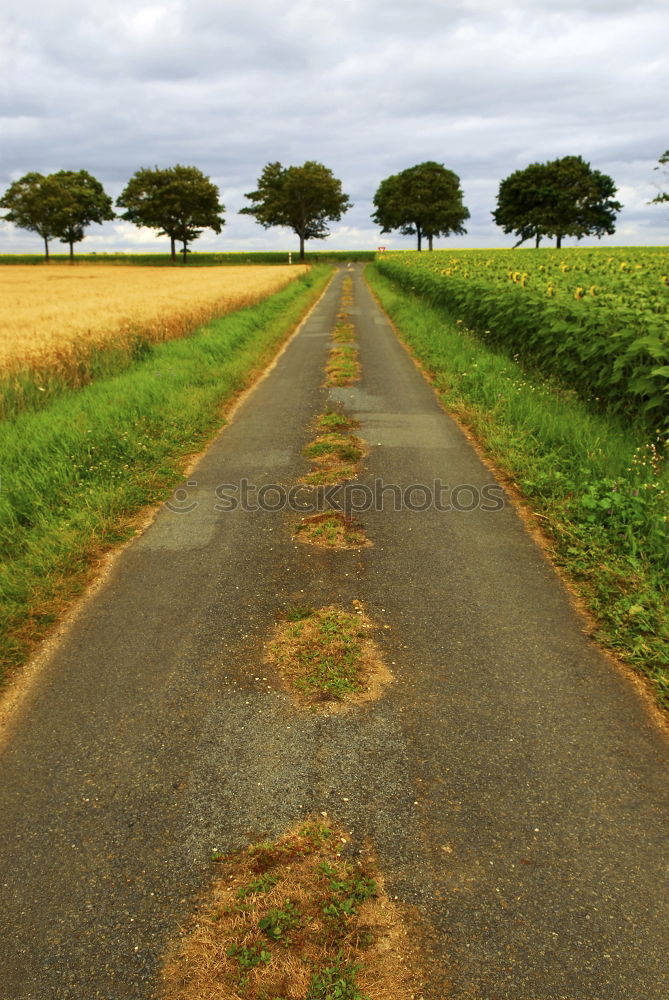Similar – Foto Bild Weg Ferne Meer Natur