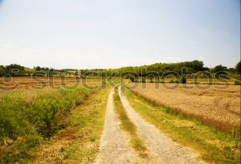 Similar – Wine plantation of a monastery at the Mediterranean Sea