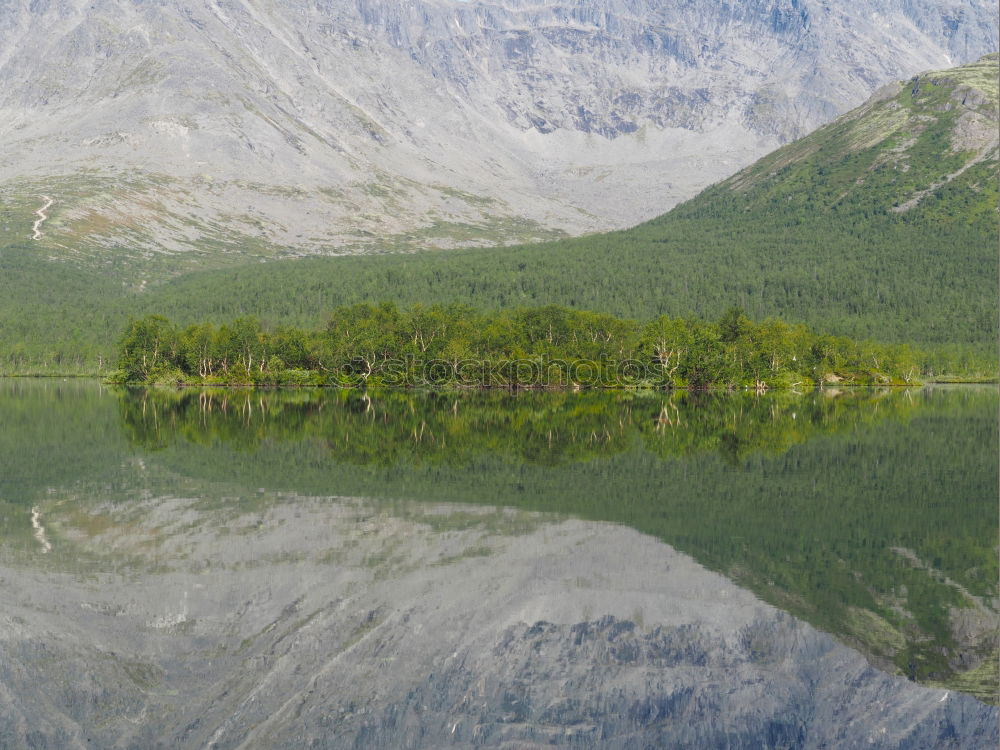 Similar – Jump in! Wood Lake Green