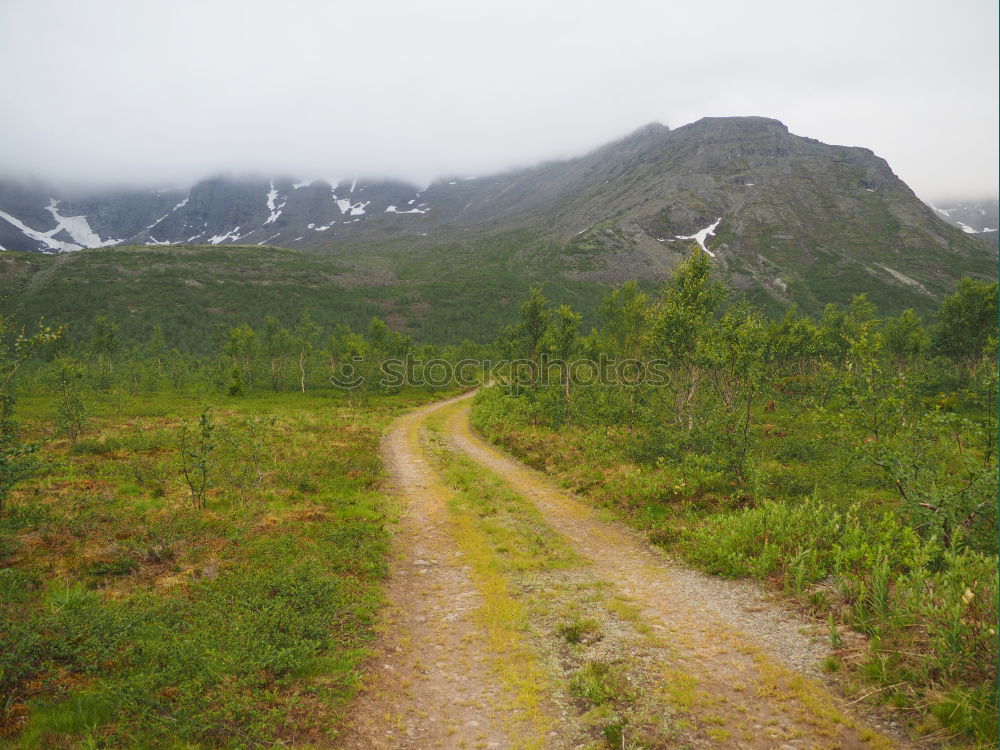 Similar – Image, Stock Photo mountain path Plant