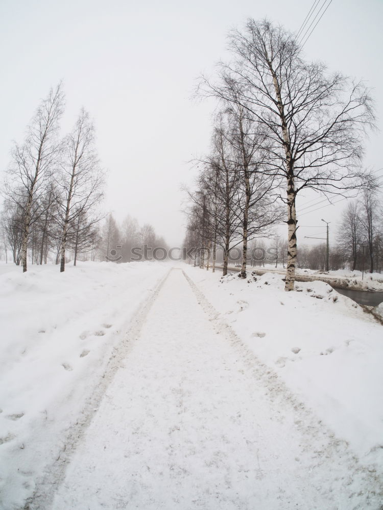 Similar – parken Ikon Feld Baum