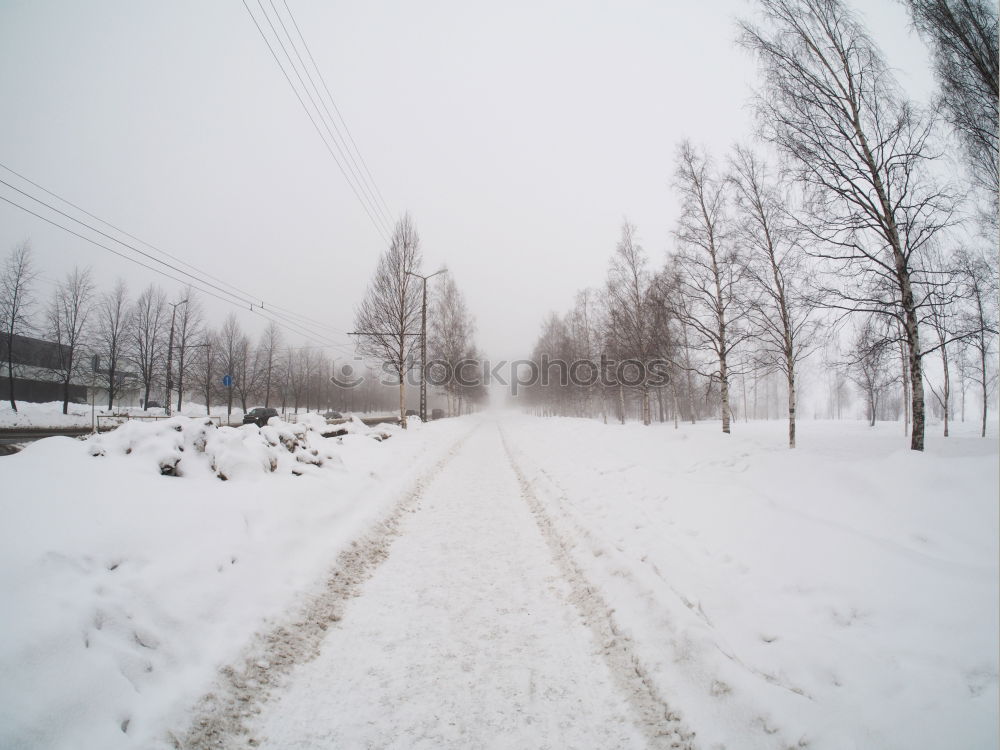 Similar – Winter cycle path Snow Ice