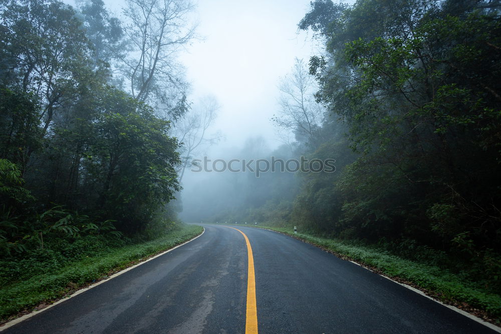 Similar – Truck driving through forest