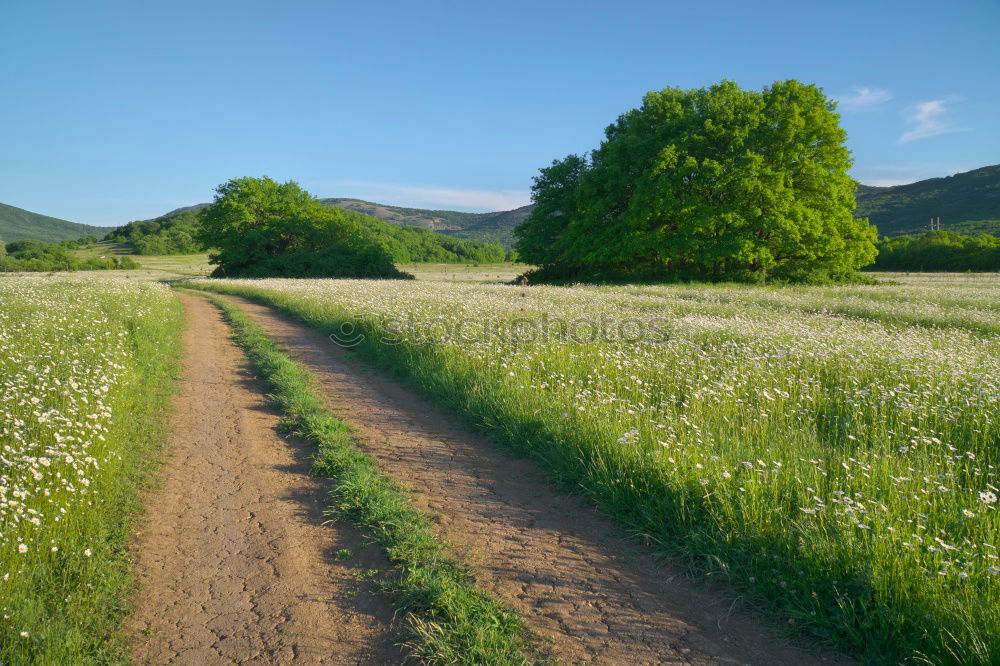 Similar – Image, Stock Photo Tracks in nowhere {N5}