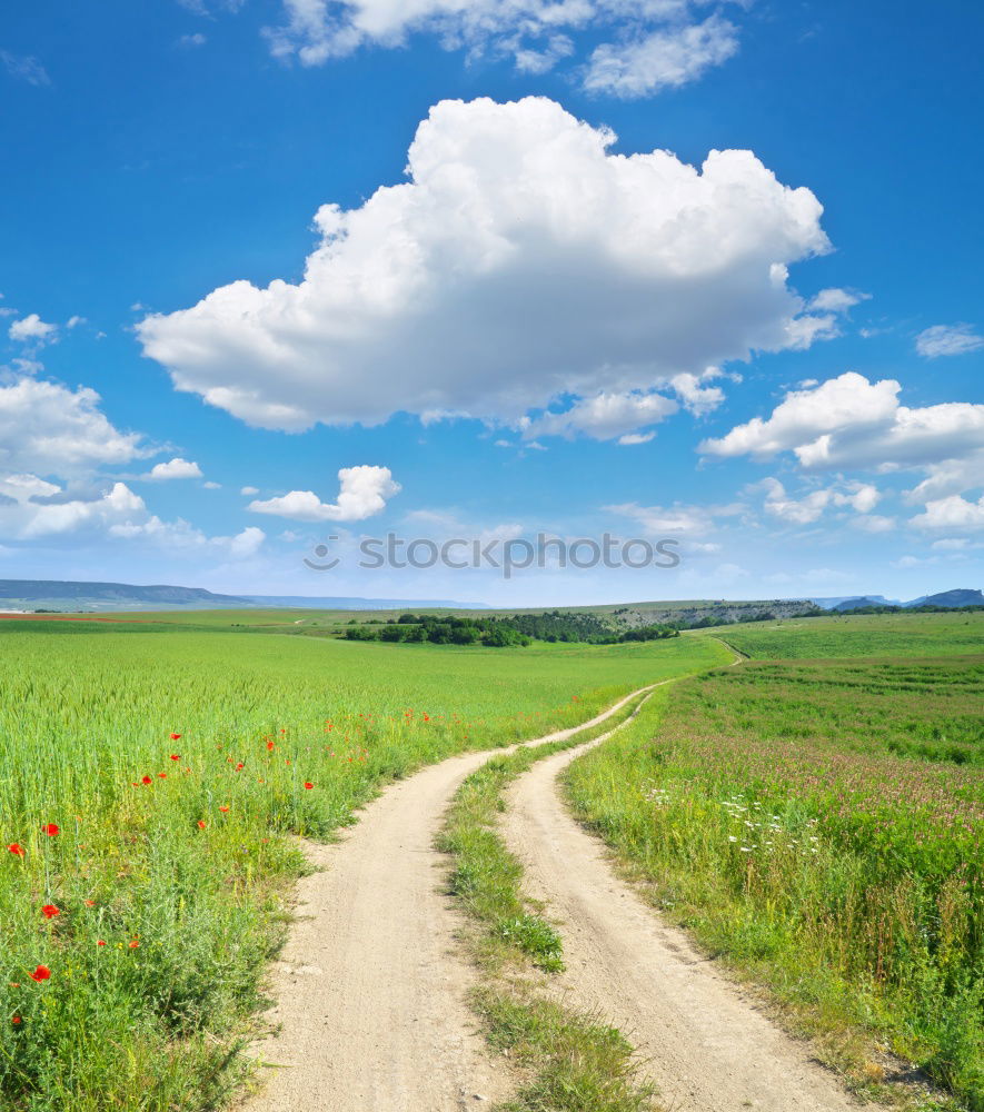 Similar – Image, Stock Photo dirty road in the field in the spring