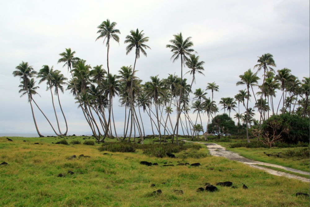 Similar – Bali Island Indonesia Asia