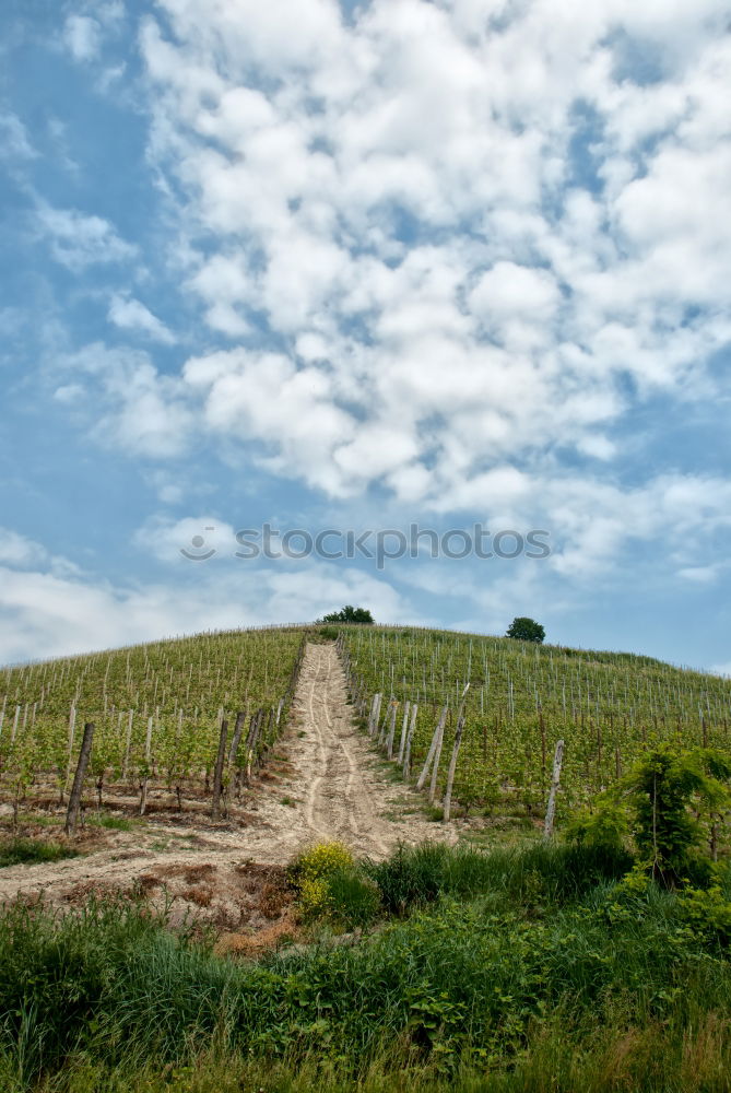 Similar – Châteauneuf-du-Pape Summer