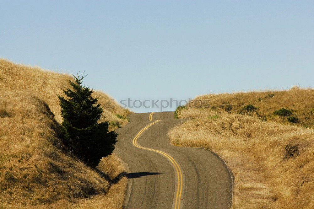 Similar – Foto Bild Weg Ferne Meer Natur