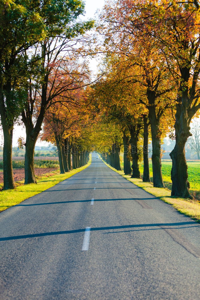 Similar – Image, Stock Photo Airbrush ?  I Footpath