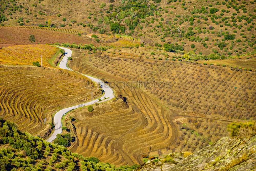 Similar – Image, Stock Photo Golan Heights-Israel