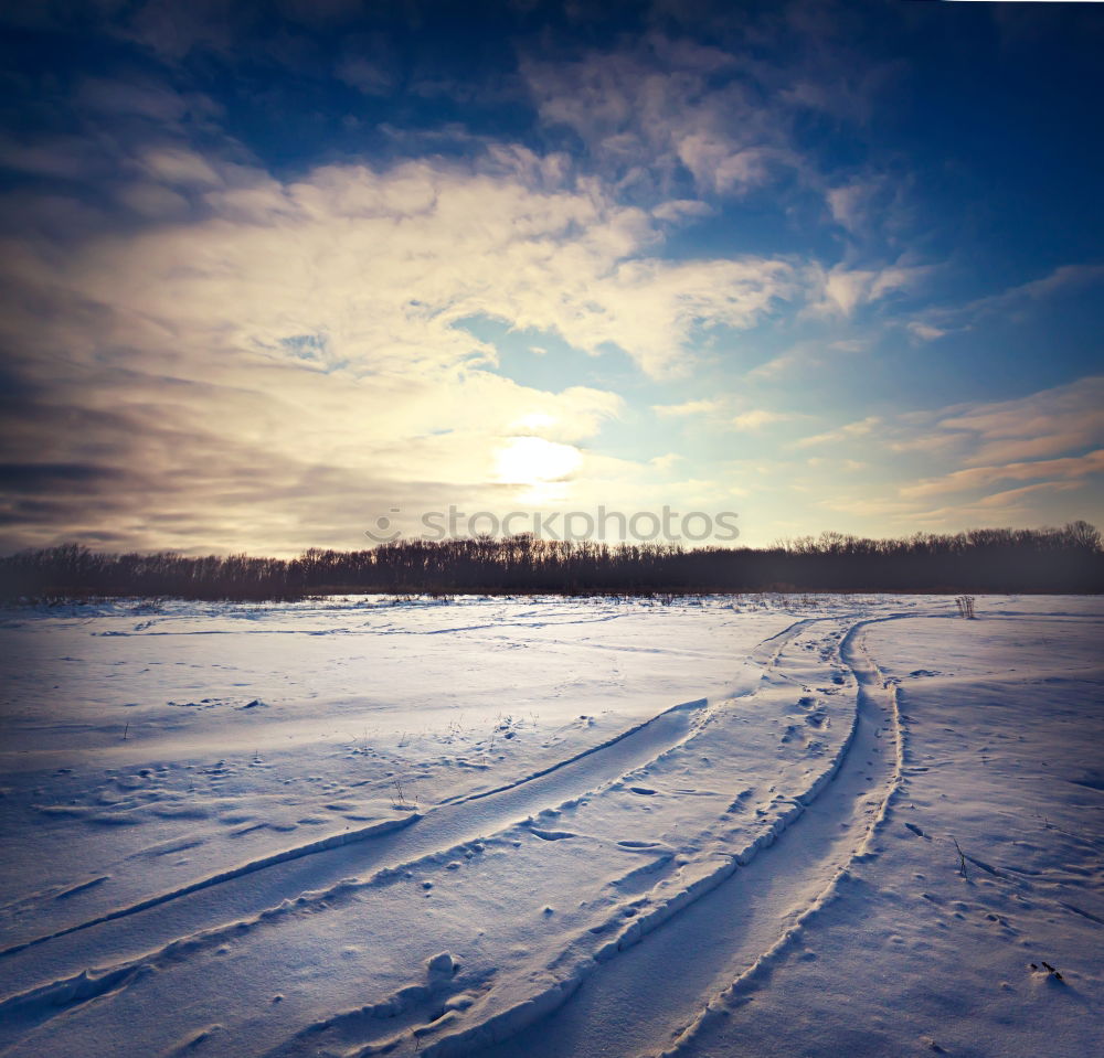 Similar – Trees in a hilly snowy landscape