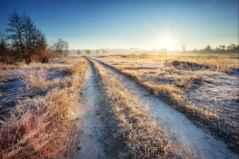 Similar – Image, Stock Photo Sunny winter morning on a river