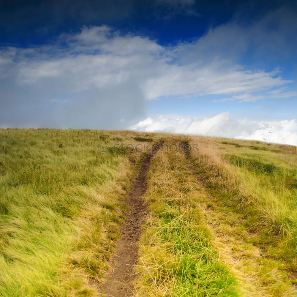 Similar – Image, Stock Photo upward Adventure Mountain