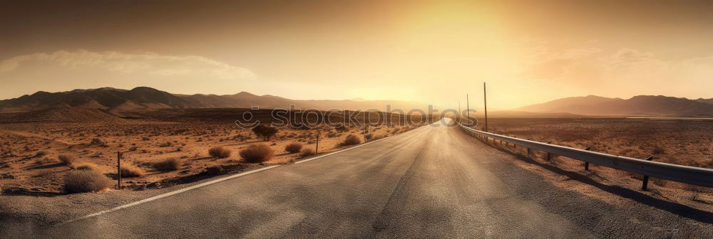 Similar – Image, Stock Photo street dog Environment