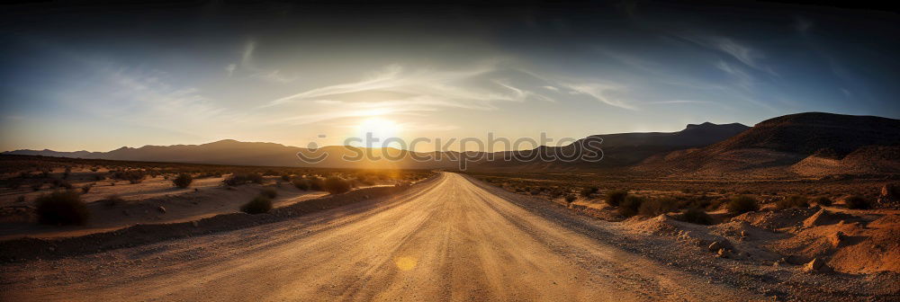 Similar – Image, Stock Photo Always towards the sun