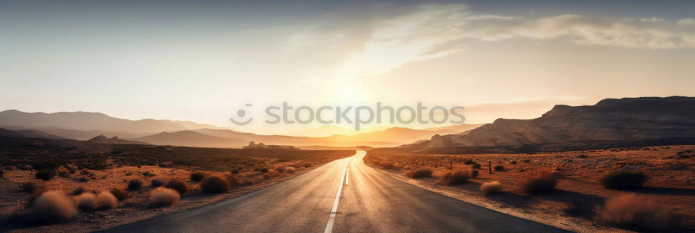 Similar – Image, Stock Photo street dog Environment