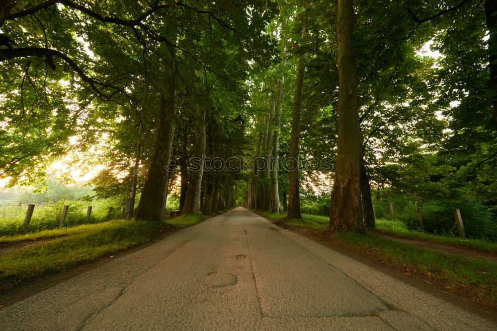 Similar – highway Nature Deserted