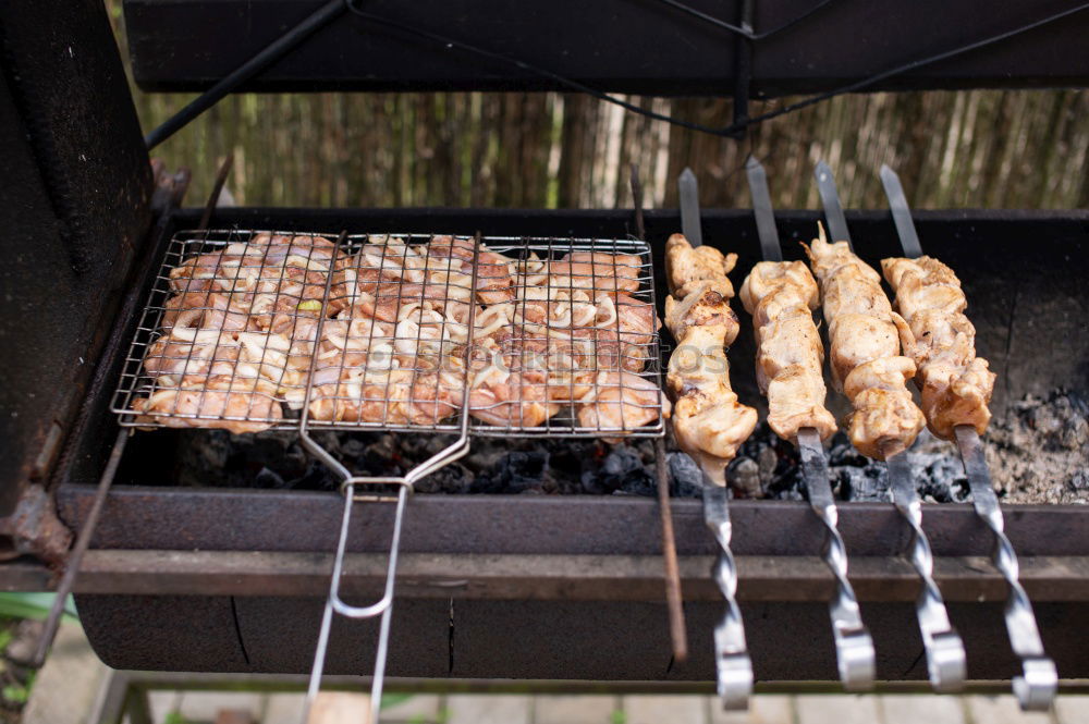 Similar – Image, Stock Photo barbecue Nutrition Dinner