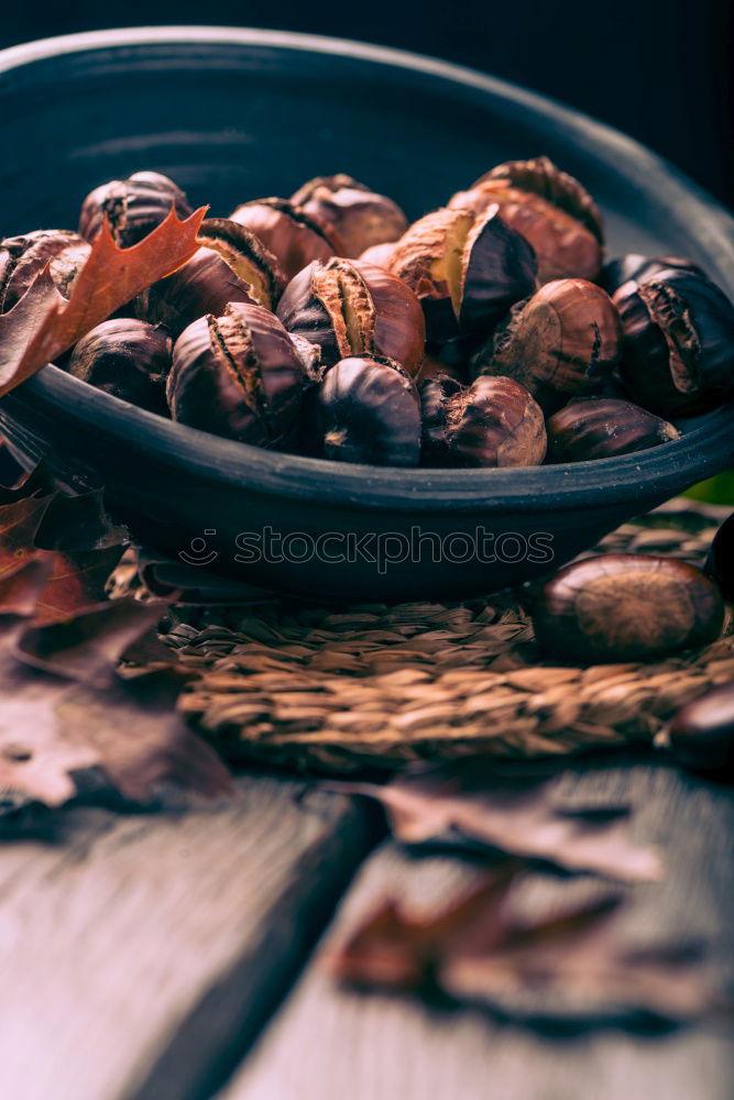 Similar – Image, Stock Photo Venison ham with nut bread served on tree bark