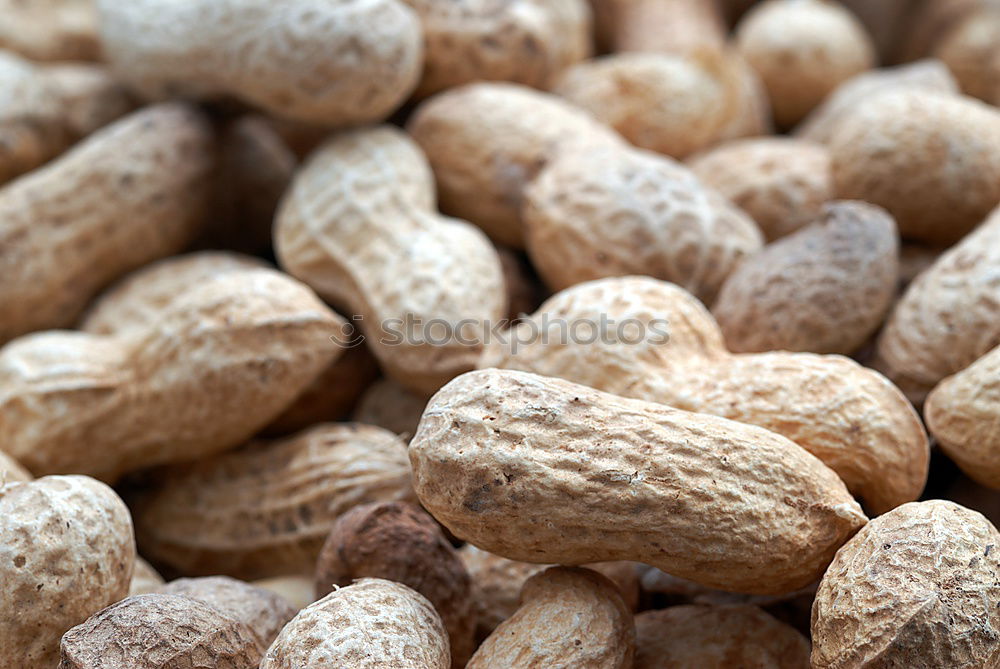 Similar – nuts Food Nut Walnut