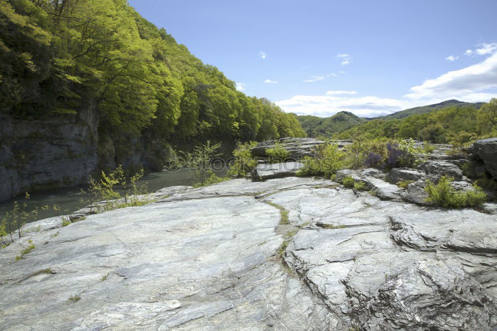 Similar – Image, Stock Photo Lough Leane Nature