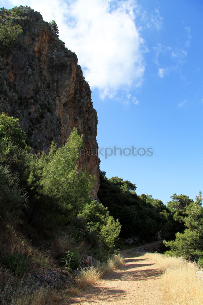 Similar – Image, Stock Photo Behind it, the beach on the road again.