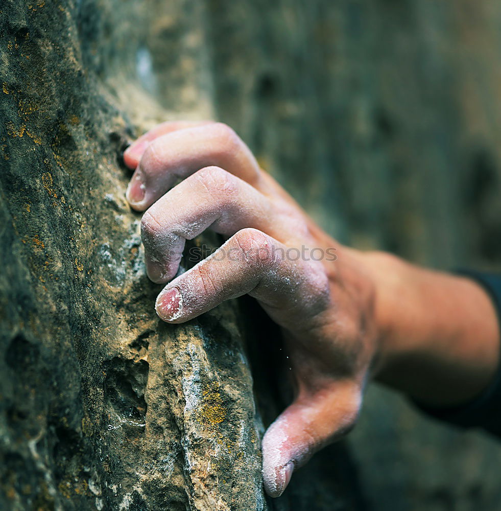 Similar – Foto Bild Vergänglichkeit. Hand