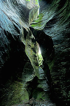 Similar – Image, Stock Photo Cave covered with green moss