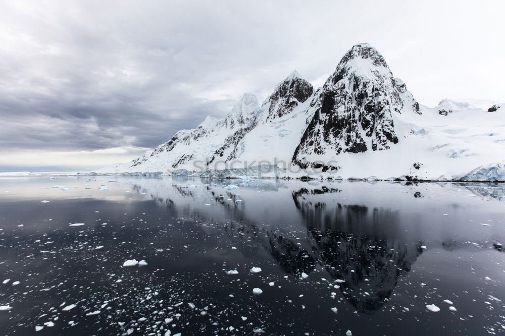 Similar – Beak of ship sailing in ice