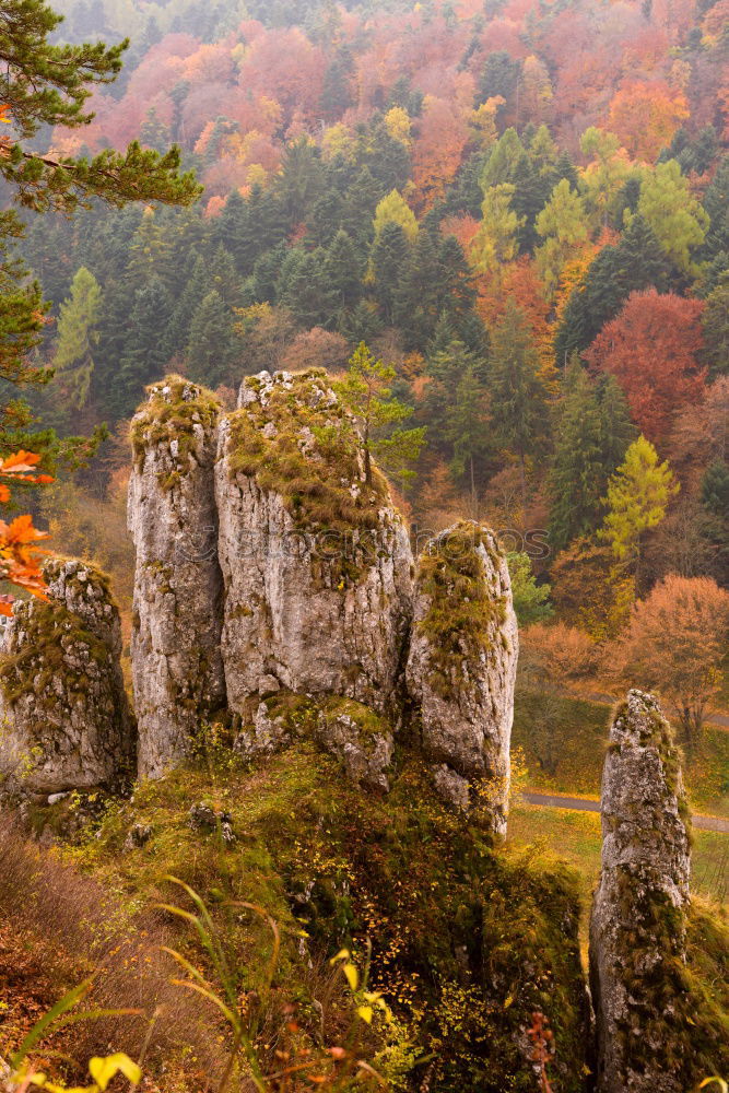 View of the Teufelsturm and the Elbe valley