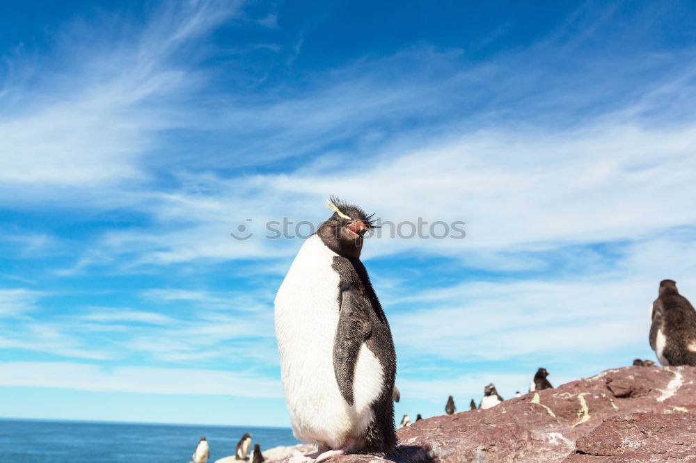 Similar – Image, Stock Photo the audience is listening