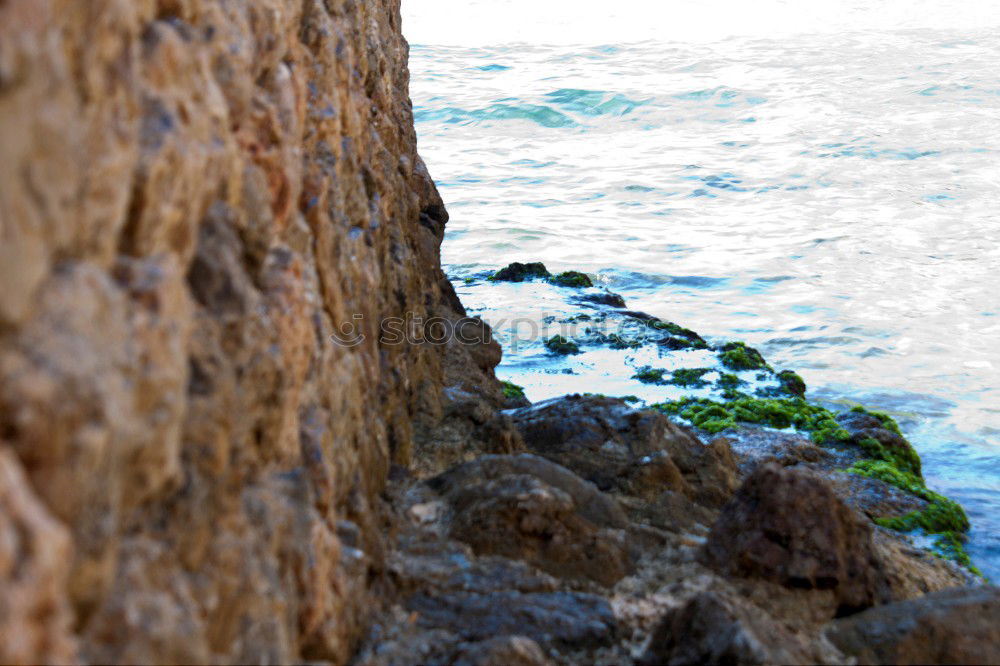 Similar – lake Lake Beach Stone Salt