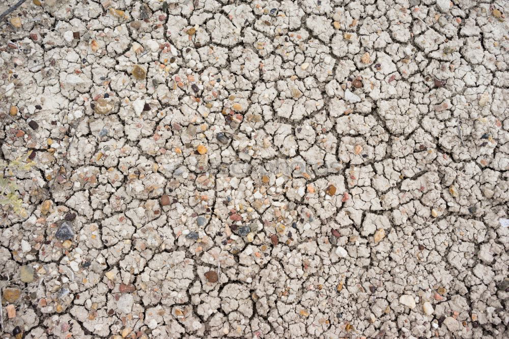 Similar – Image, Stock Photo run sand Blade of grass