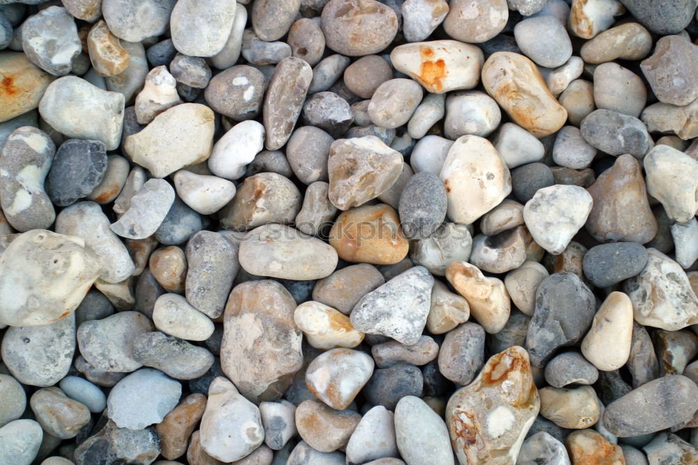 Similar – stones Pebble Gravel Beach