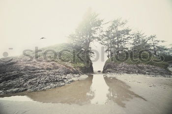 Similar – Image, Stock Photo zero to one Sand Water