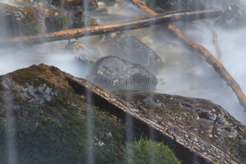 Similar – Image, Stock Photo The mountain calls Fog