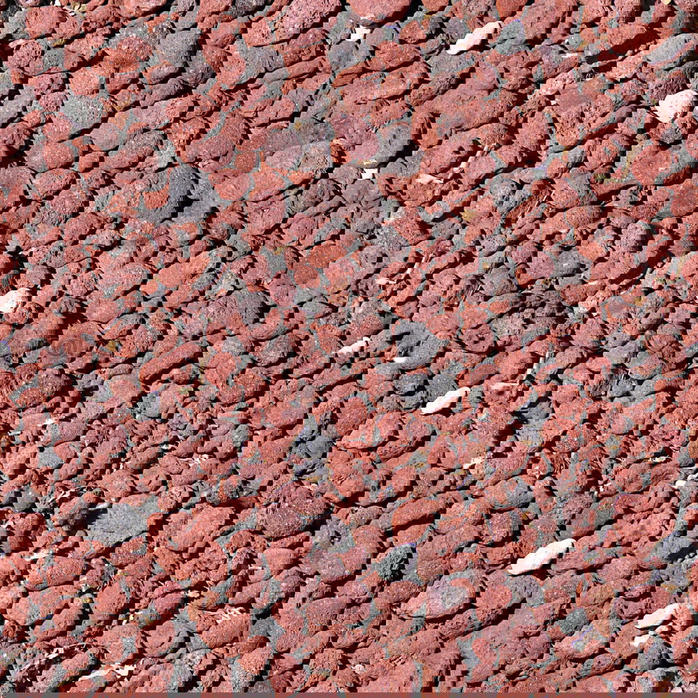 Similar – Image, Stock Photo pebble Pebble Gravel Stone