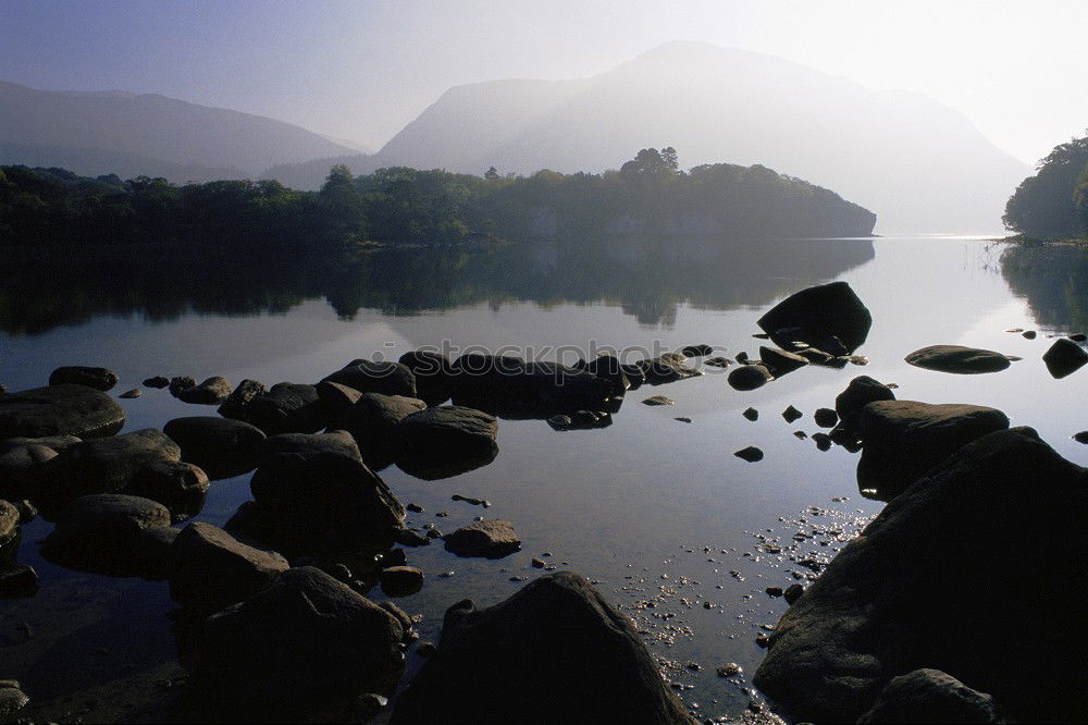 Similar – black tree Tree Lake