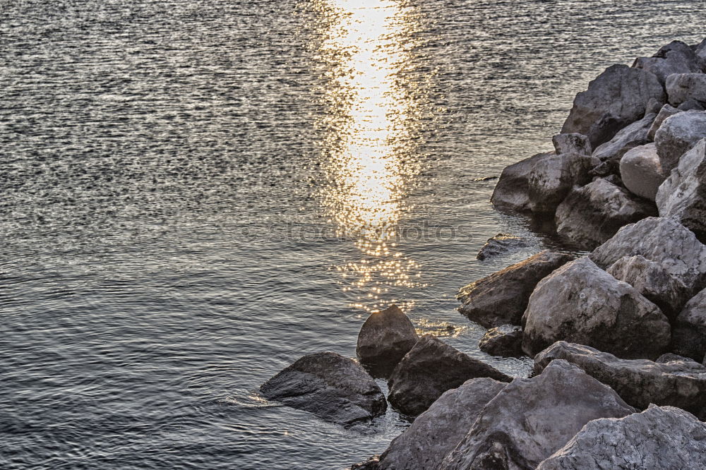 Similar – somber Dark Lake Dock Fog